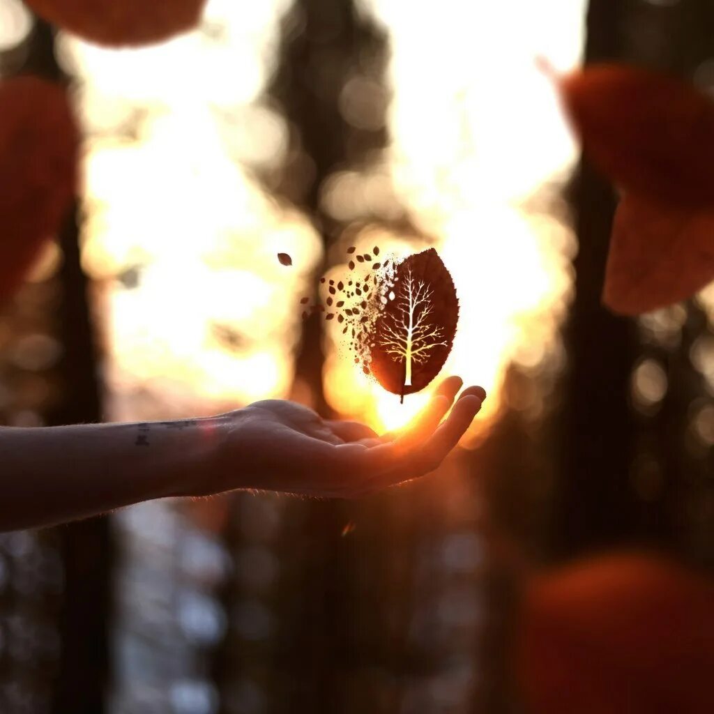 девочка мечтает. верьте!. иногда случаются чудеса. бывают в жизни чудеса. часто бывает что чудеса находятся.