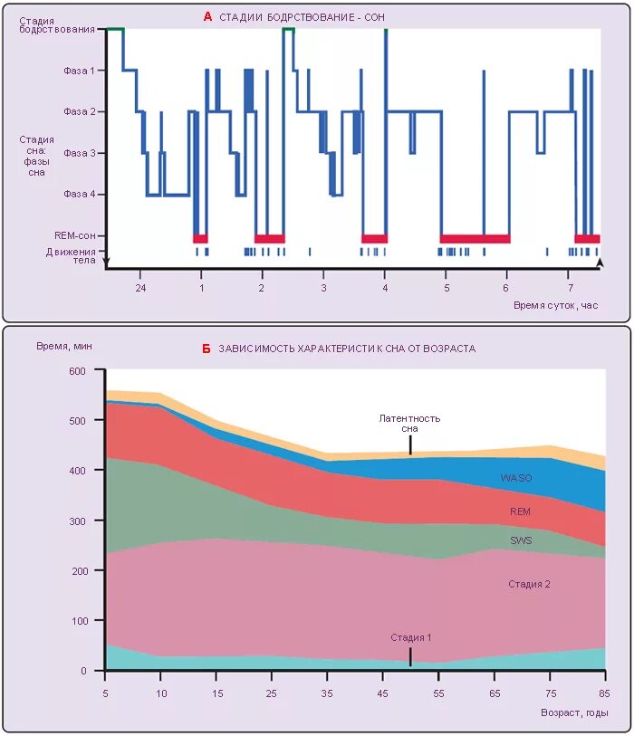 Фазы сна ребенка 2. Фазы сна ребенка в 4 года. Фазы сна 3 месячного ребенка. Фазы сна ребенка 2. Фазы сна у ребенка 2 года.