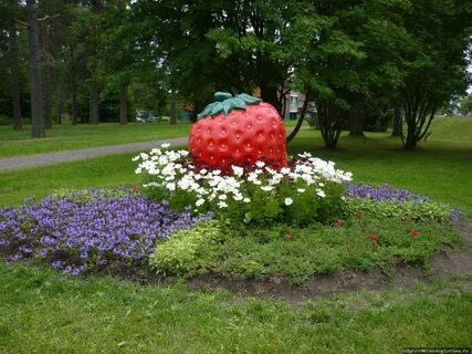 Город клубника
