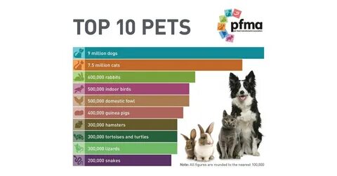 Top pets