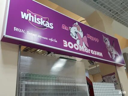 Зоомагазин тамбов