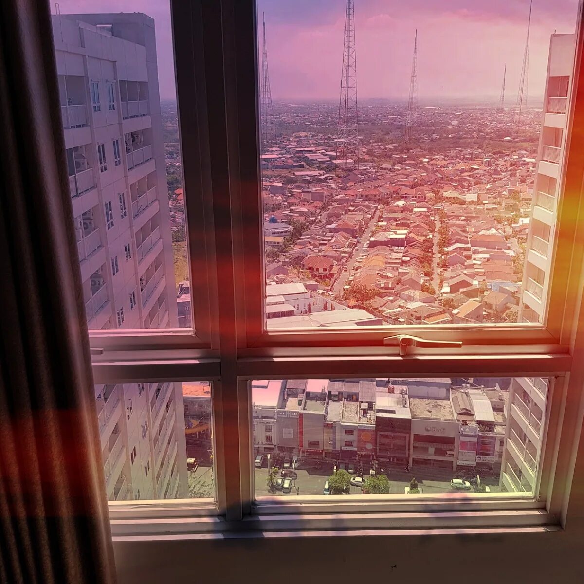 Тематический парк леголенд в англии. Лошади пасутся в лесу. Фото природы в высоком качестве. Парк с деревьями панорама сумерки. View ever.