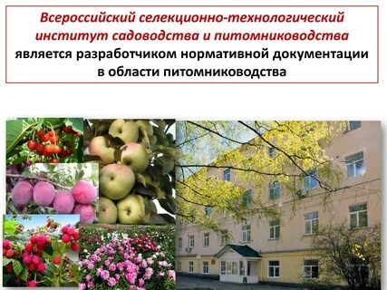 Институт плодоводства