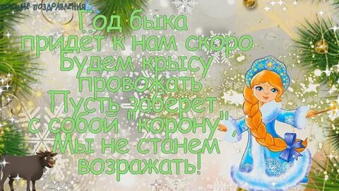 Частушки на новый год 2024