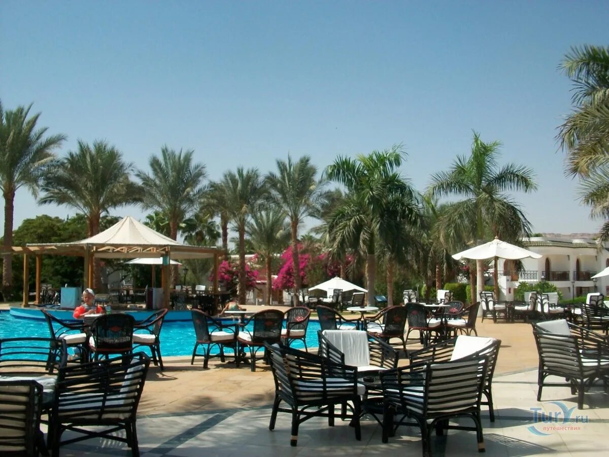 Отель dessole seti sharm resort 4. Египет шарм-эль-шейх отель сети шарм 4*. Отель dessole египет. Дессоле шарм эль шейх. Шарм-эш-шейх египет.