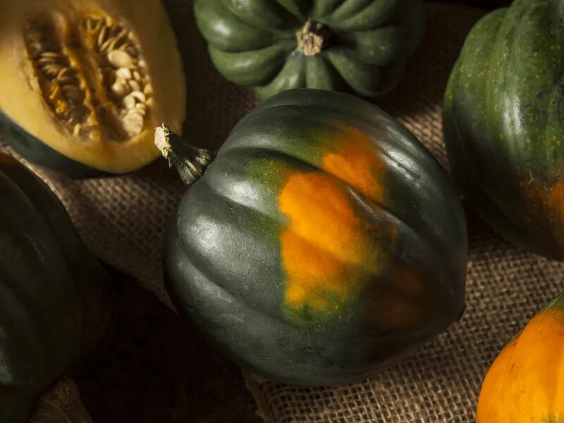 What Is Acorn Squash