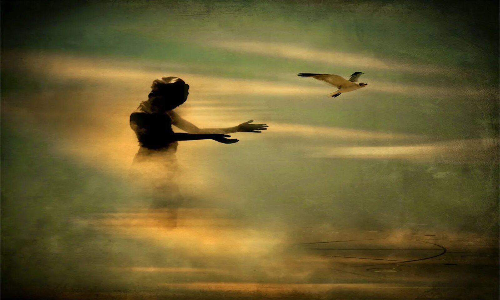 Let's go!. Прошлое девушки. Letting go. Dj antoine ft. Wallpaper most emotional music ever letting go.