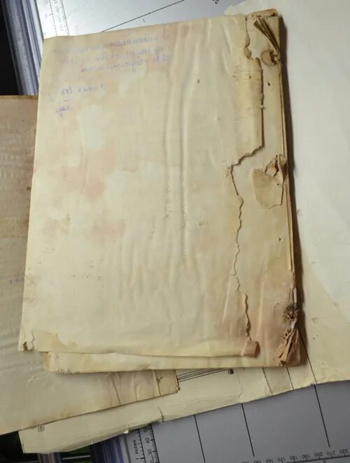 повреждения архивных документов. плесень на бумаге. повреждения архивных документов. плесень на книгах. повреждения архивных документов.