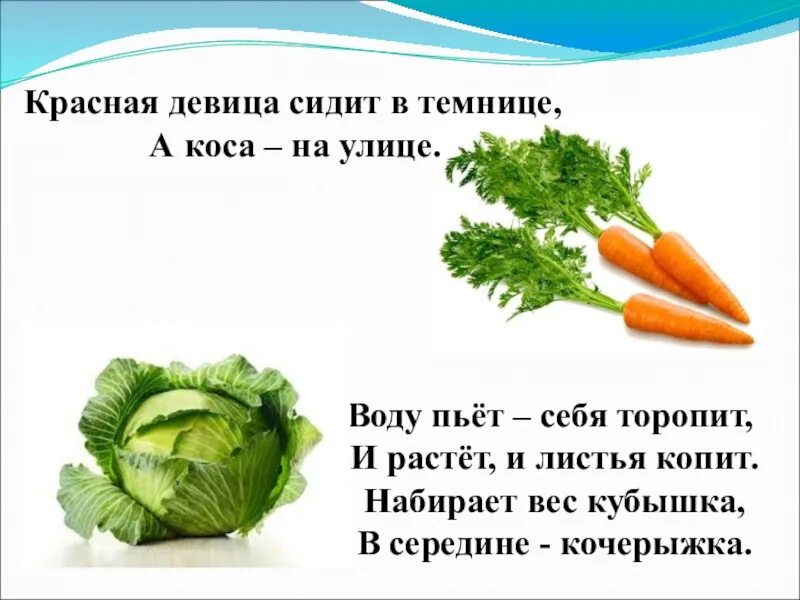 Загадка сидит девица. Сидит девица в темнице а коса на улице. красная девица сидит в темнице. загадка красная девица сидит в темнице а коса на улице. загадка сидит девица в темнице.