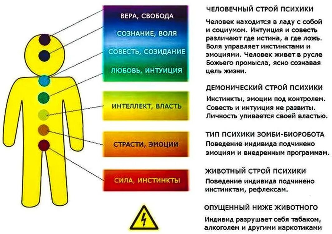 Типы психики человека КОБ. Типы строя психики по КОБ. Демонический Строй психики КОБ. Человечный Тип строя психики.