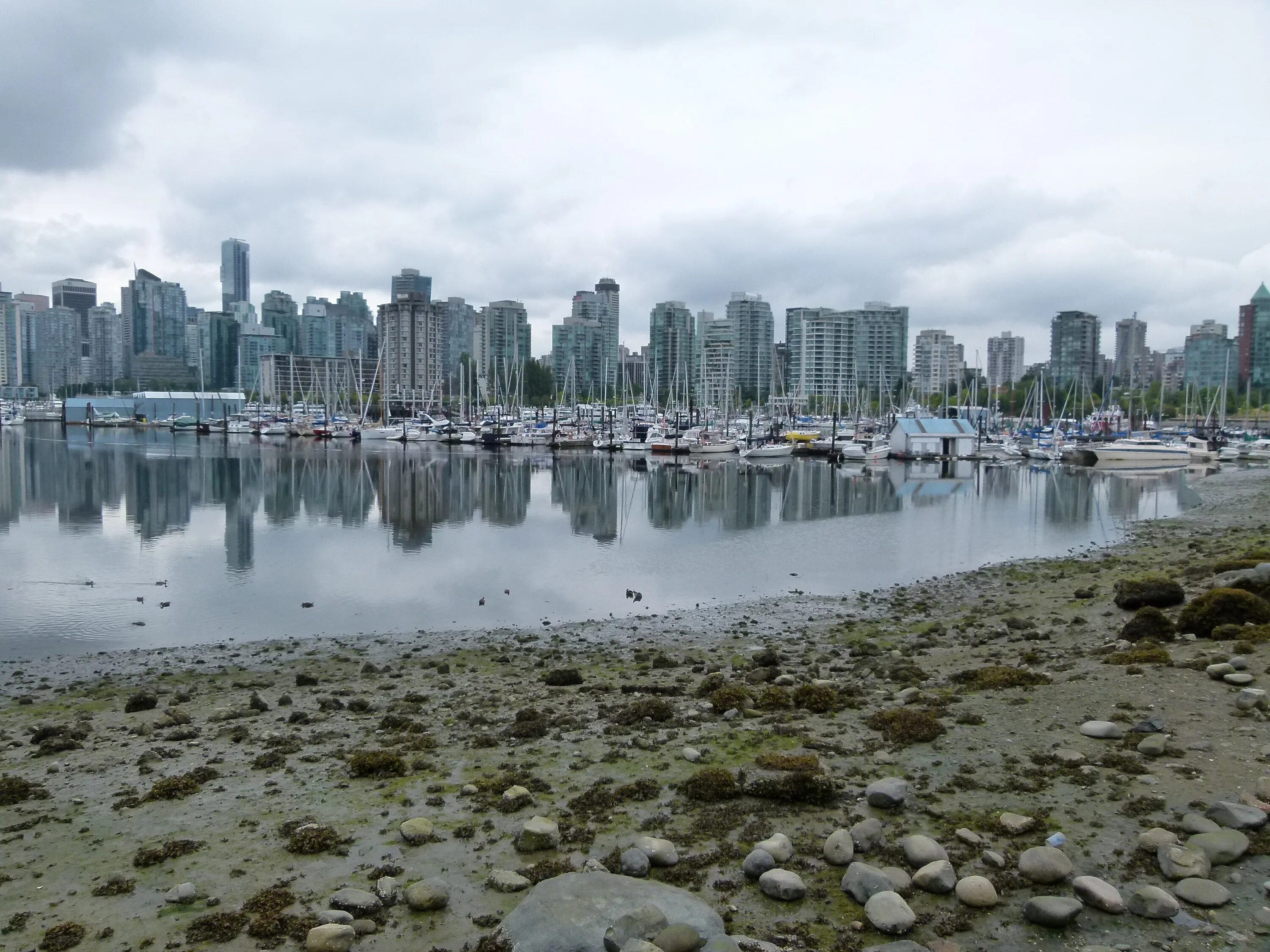 Береговая линия канады. Ванкувер (город в Канаде). Ванкувер океан. Vancouver British Columbia. Ванкувер Британия пляж в Канаде.