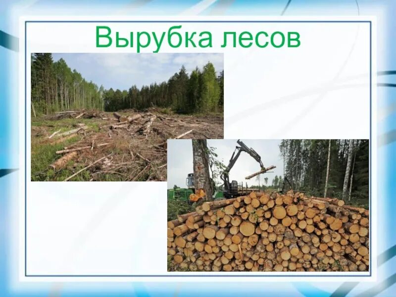 вырубка лесов. вырубка лесов какие последствия. аоследствиявырубки леса. вырубка лесов экологическая проблема. негативные последствия вырубки лесов.