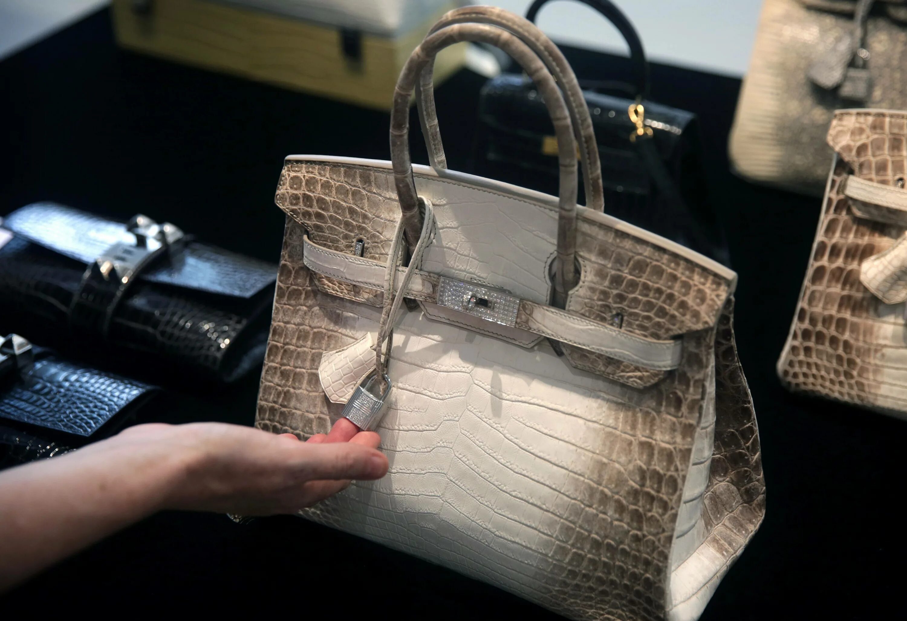 Купить дорогие сумки. Сумка Hermes Diamond Himalayan Birkin. Дорогие сумки Хермес Биркин. Hermes Birkin самая дорогая сумка. Hermes Himalayan Birkin.