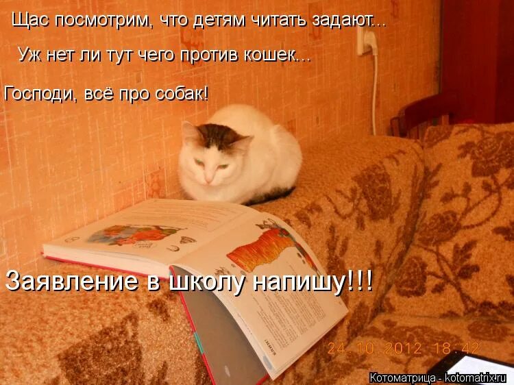 смешные скриншоты. здесь это не там. котоматрица кот ученый. сейчас посмотрим тут. тут пусто мем.