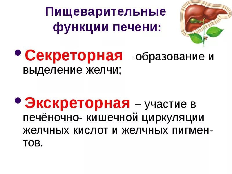 Обеспечивающий образование желчи