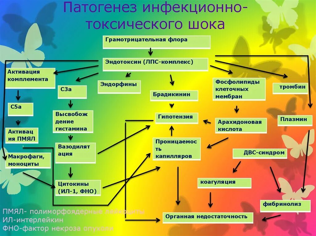 Синдром стрептококкового токсического шока. Инфекционно-токсический ШОК патогенез. Токсический ШОК механизм развития. Инфекционно-токсический ШОК патогенез схема. Менингококковая инфекция патогенез схема.