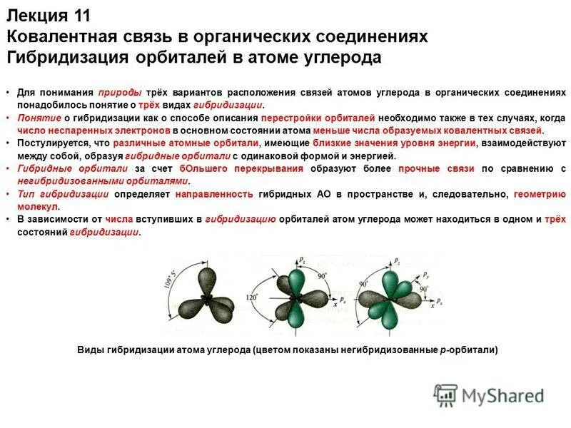 Типы гибридизации атома углерода примеры Ковалентная связь в органических соединениях. Строение орагнических соединений и
