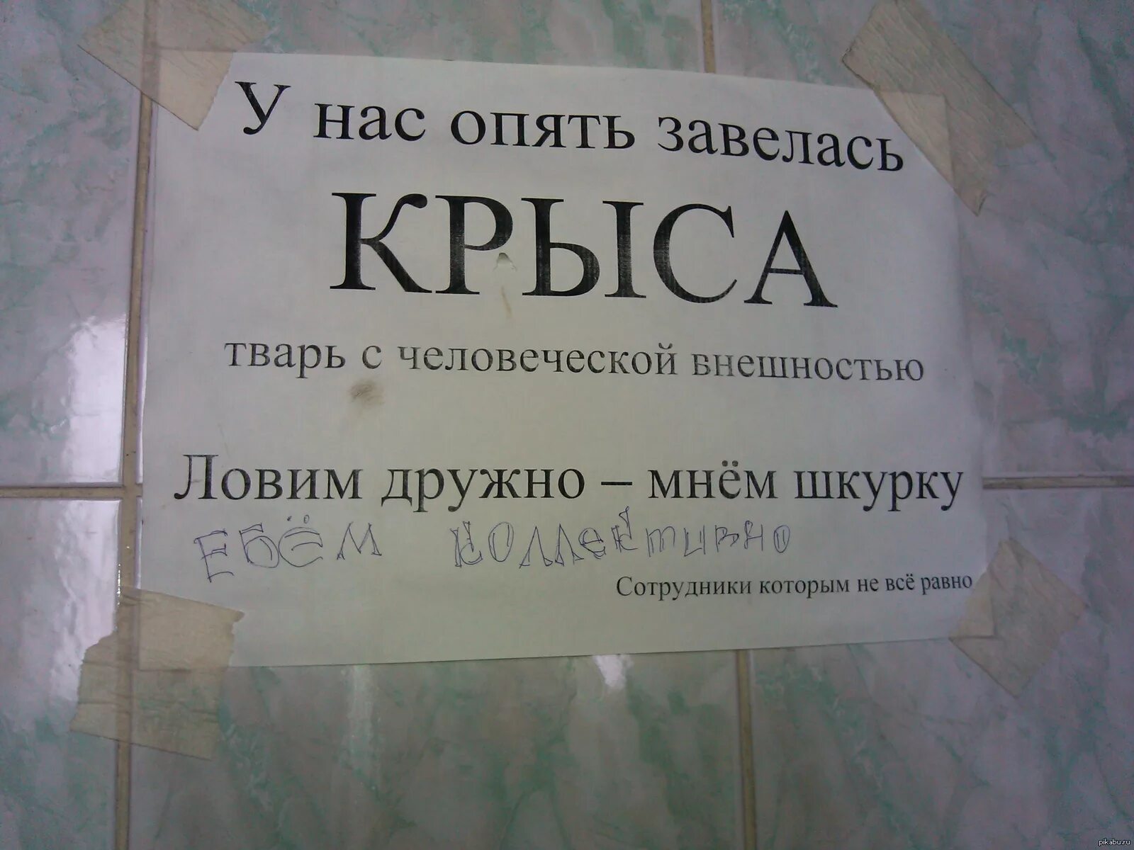 Прикольные объявления о воровстве. Смешные высказывания про крыс. Крыса в коллективе. Объявление о воровстве на работе.