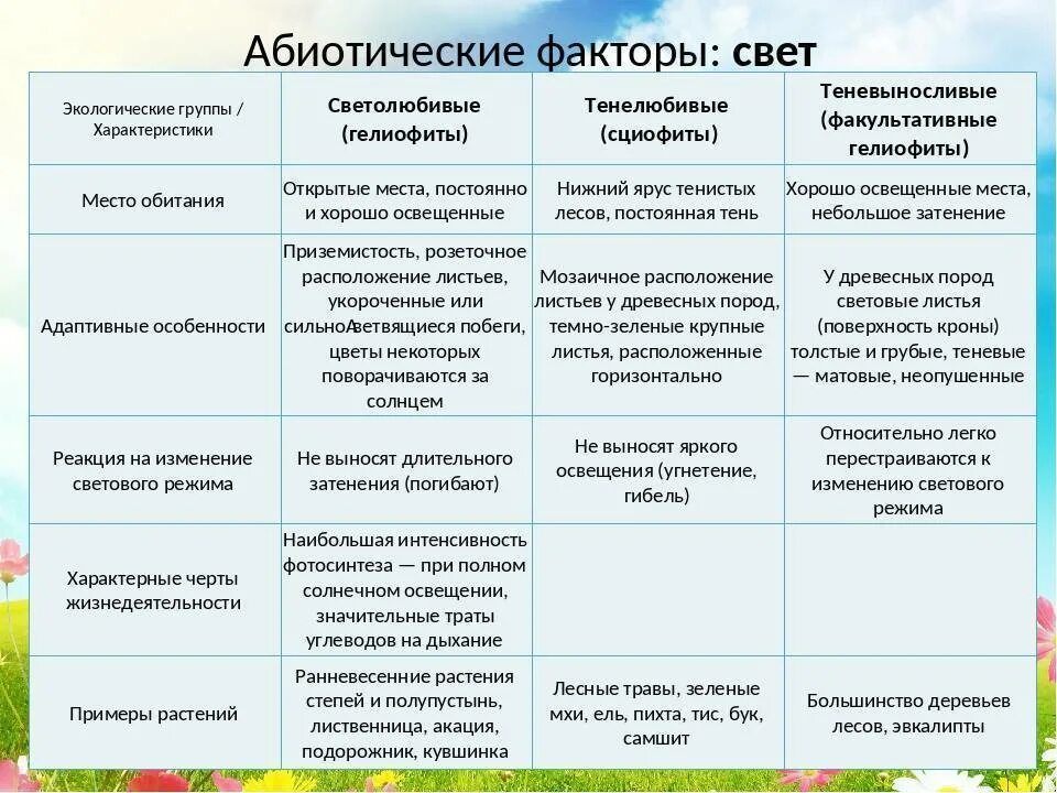 Изменения в жизни животных летом таблица. Абиотические факторы среды это в биологии. Абиотические факторы свет температура влажность. Абиотические факторы температура примеры таблица. Таблица 2 действие абиотических факторов.