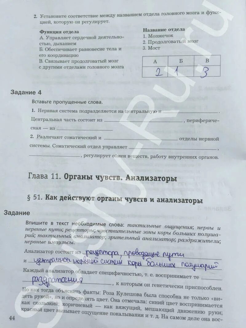 Подведем итоги по биологии 8 класс драгомилов. Гдз по биологии 8 класс драгомилов. Подведём итоги по биологии 8 класс драгомилов ответы. Гдз по биологии 8 класс драгомилов подведем итоги. Рабочая тетрадь по биологии 9 класс драгомилов маш гдз 2 часть.