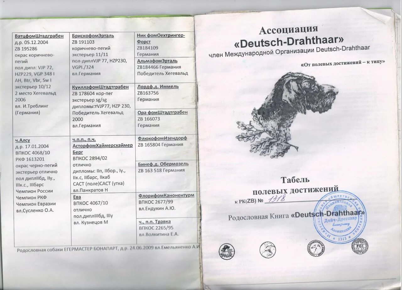 Щенячку на родословную