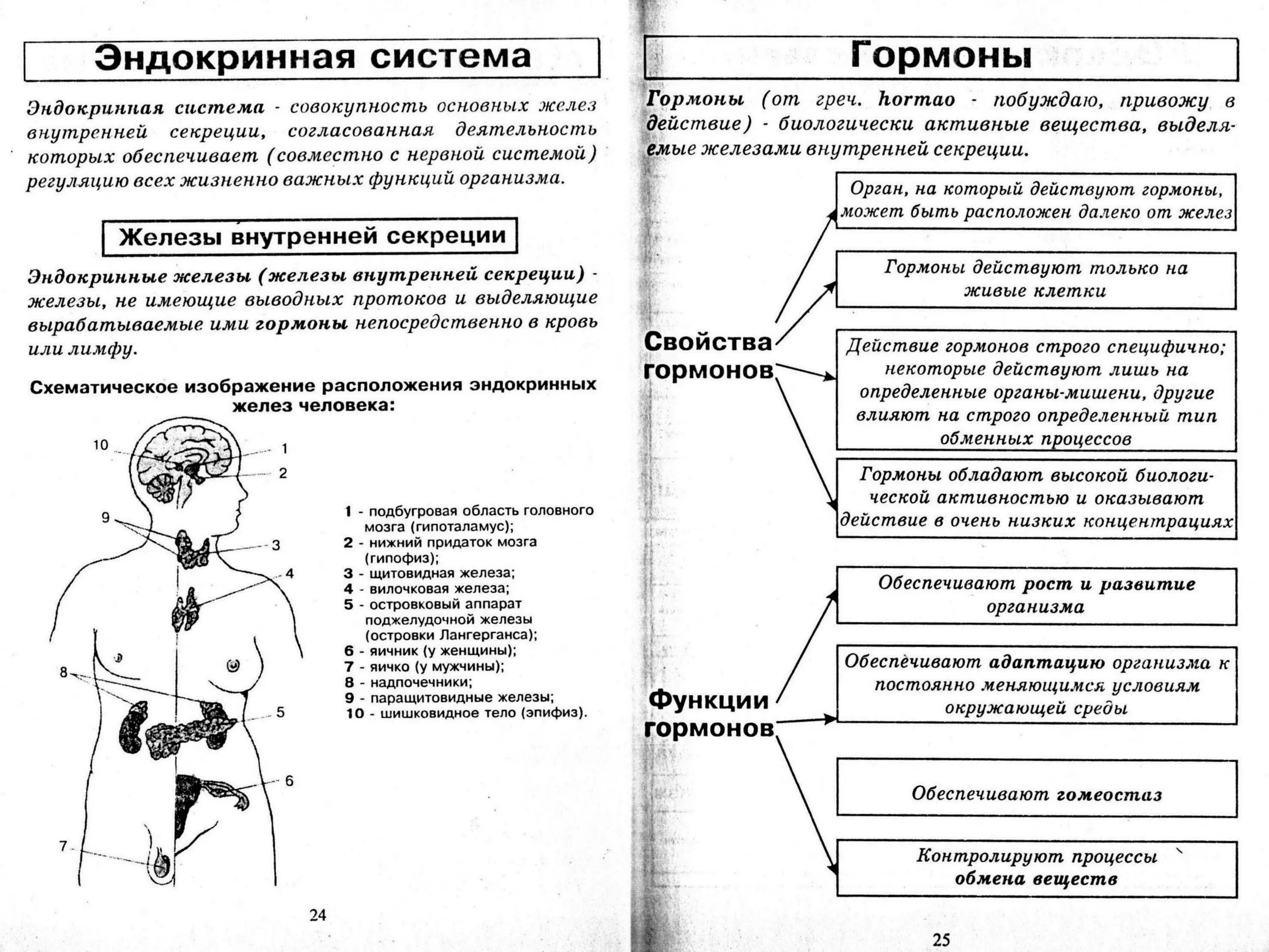 Железы в организме человека таблица. .Система желез внутренней секреции. Функции. Железы внутренней секреции таблица ЕГЭ. Железы внутренней секреции ЕГЭ по биологии. Эндокринная система человека таблица 8 класс биология.