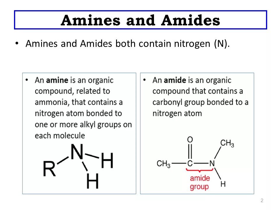 M contains. Amines. Amide and Amine. Tertiary Amine. Properties of amines.