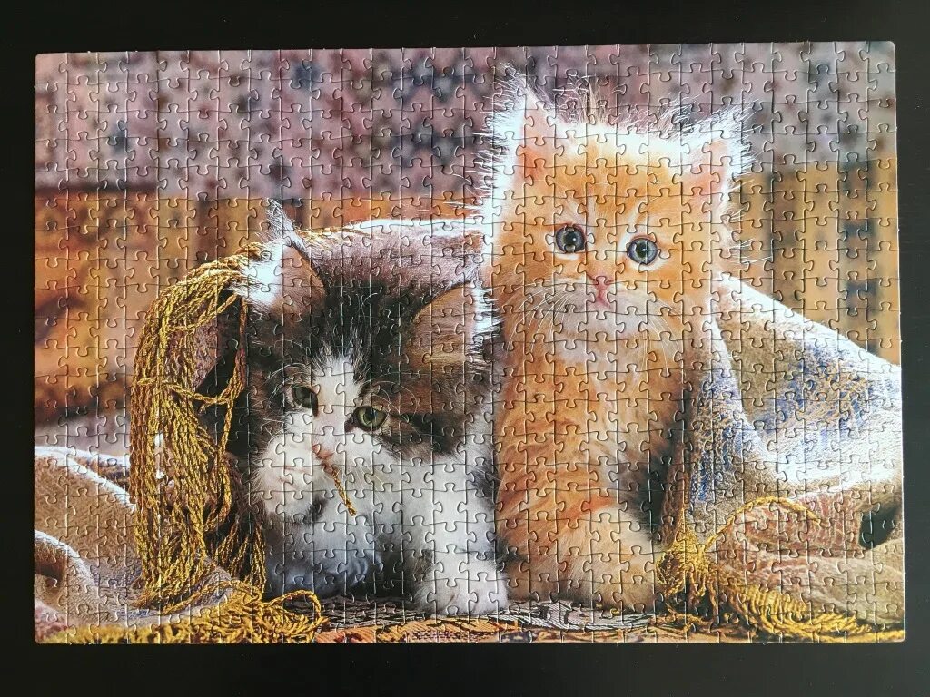 Пазл котенок. Степ пазл 1500 шт котята. Step Puzzle animal collection 1500 котята. Сборка пазл Step Puzzle animal collection котики 560. Пазлы котята собранные