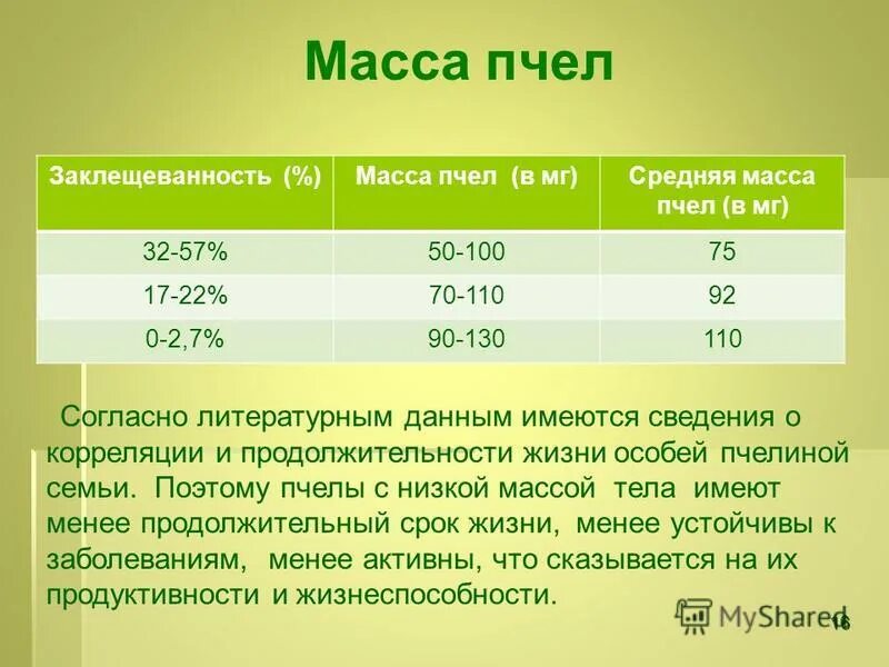 пчелы таблица. вес пчелиного роя. средняя численность пчел в улье. сколько весит пчелиный рой. пчелиная масса.