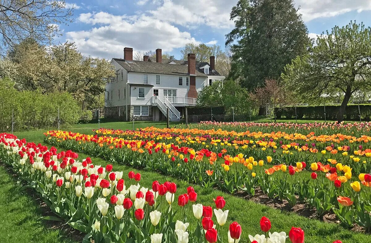 Гарден Хаус Гатчина. The Enchanted Garden Австралия. Coolidge House. This our garden