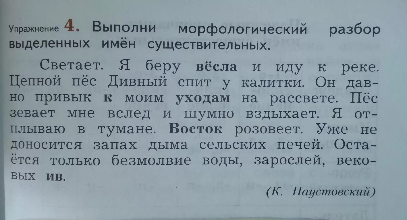 Весло слово в предложении. Морфологический разбор слова. Выполни морфологический разбор. Выполни морфологический разбор имени существительного. Что такое морфологический разбор выделенных существительных.