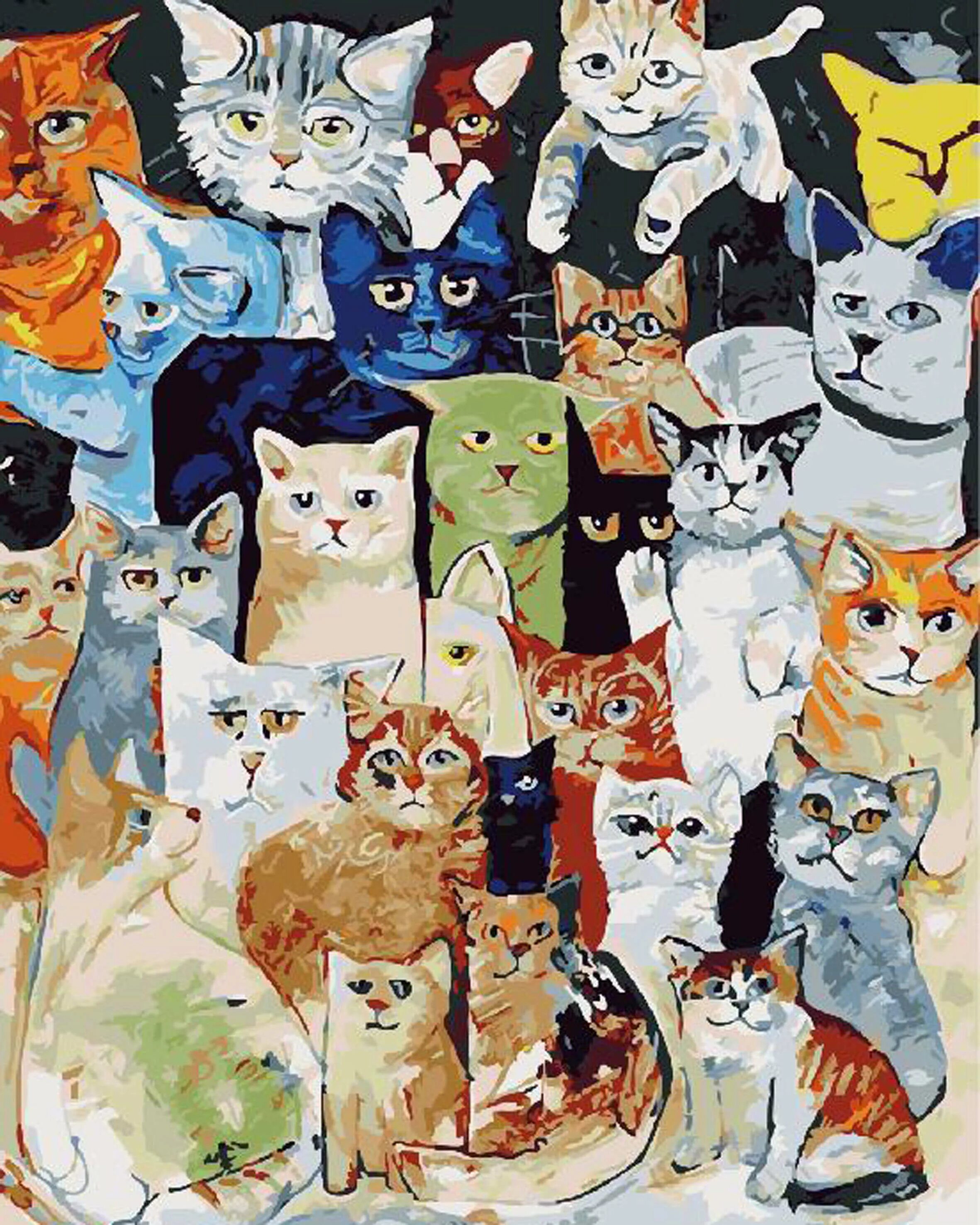 More cats