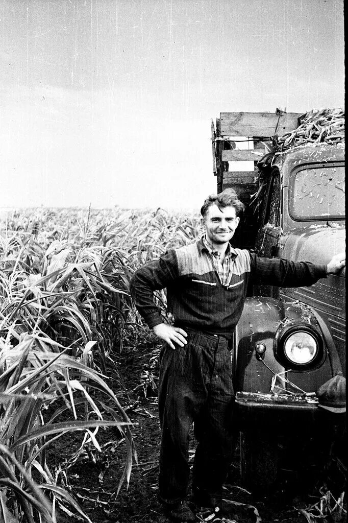 Дальнобойщик. Шоферюги шофера непростой народ. Шоферюги шофера непростой народ слушать. Маз дальнобой. Шофер грузовика.