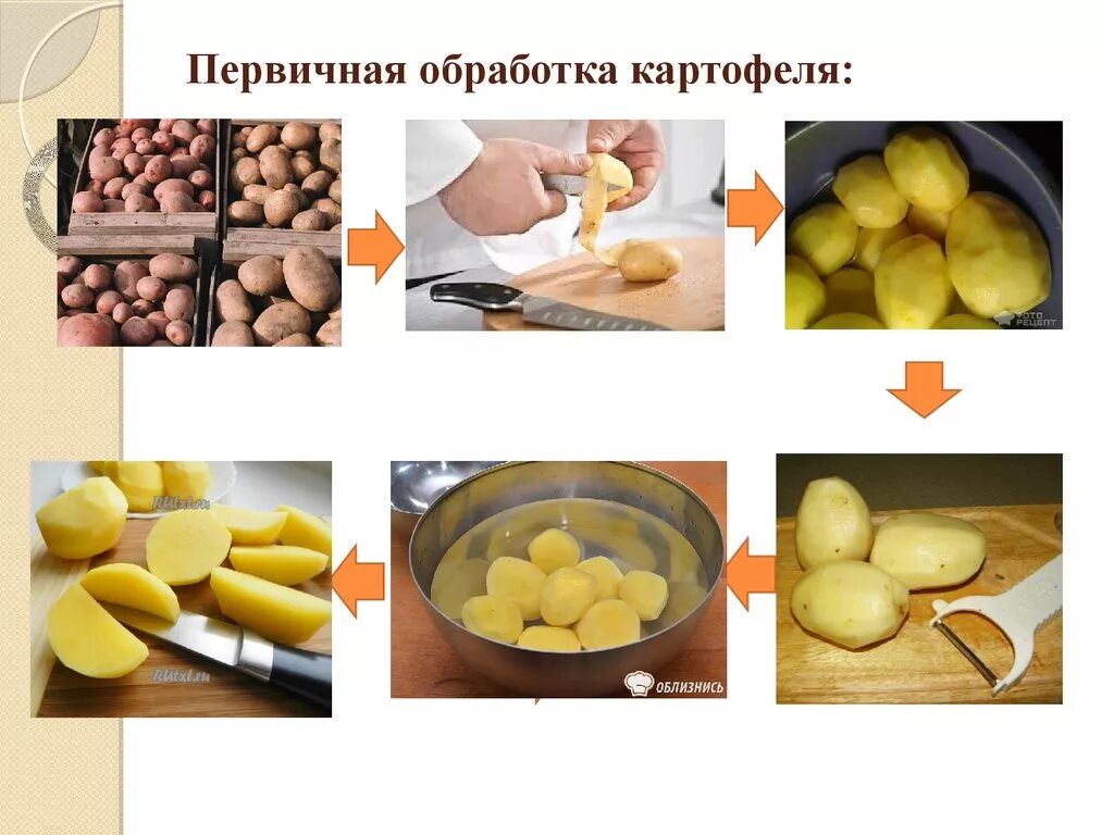 Первичная обработка корнеплодов схема. Алгоритм первичной обработки картофель. Механический способ обработки картофеля. Механическая обработка корнеплодов. Обработка овощей тема