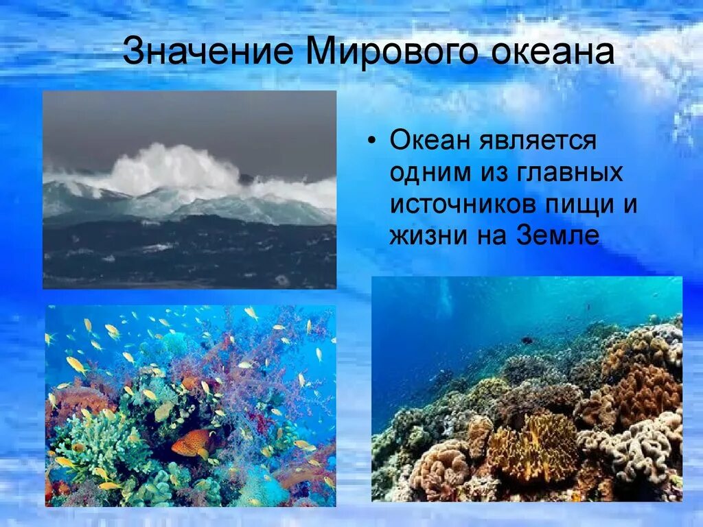 Мировой океан презентация. Важность мирового океана. Мировой океан для детей. Значение мирового океана. 3 значения океана