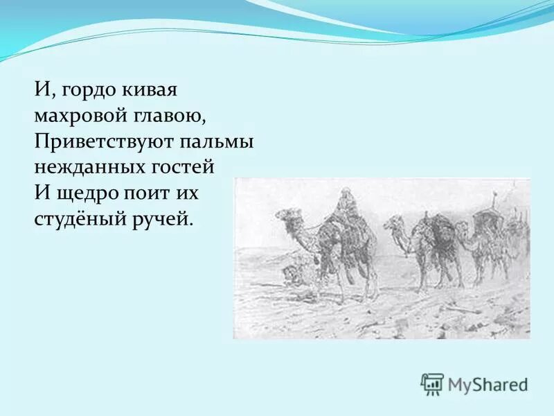 три пальмы лермонтов стих. живой мертвец литературный прием. гордо кивая махровой главою. вот к пальмам подходит шумя караван иллюстрация. учебник по литературе 9 класс бунеев.