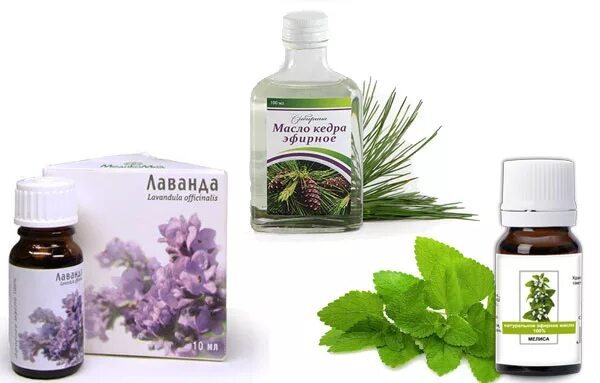 Масло против насекомых