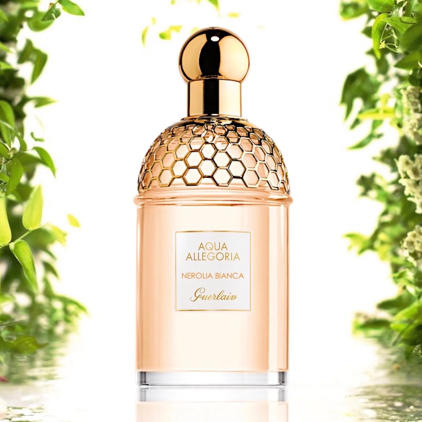 Guerlain Aqua Allegoria. Guerlain Aqua Allegoria Nerolia Bianca. Герлен Аква аллегория. Аква аллегория герлен ветивер нероли.