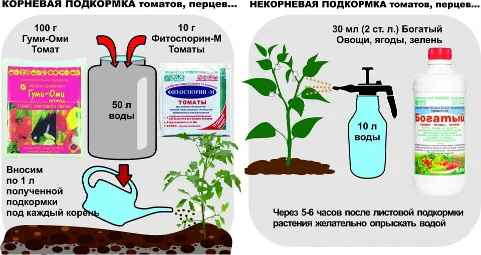 Как удобрять помидоры