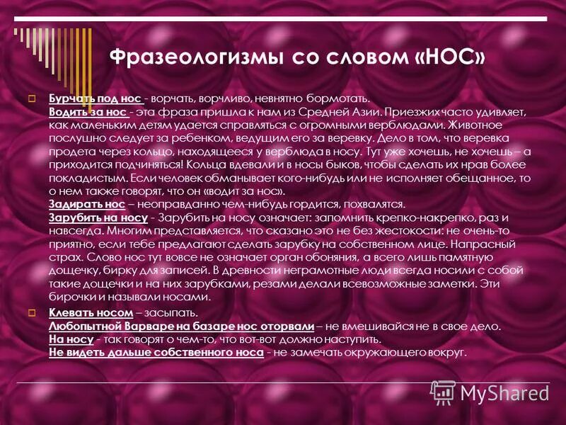 н в гоголь нос краткое содержание. коллежский асессор ковалев. проблематика повести нос гоголя. петербург в повести нос. гоголь в повести нос о носе.