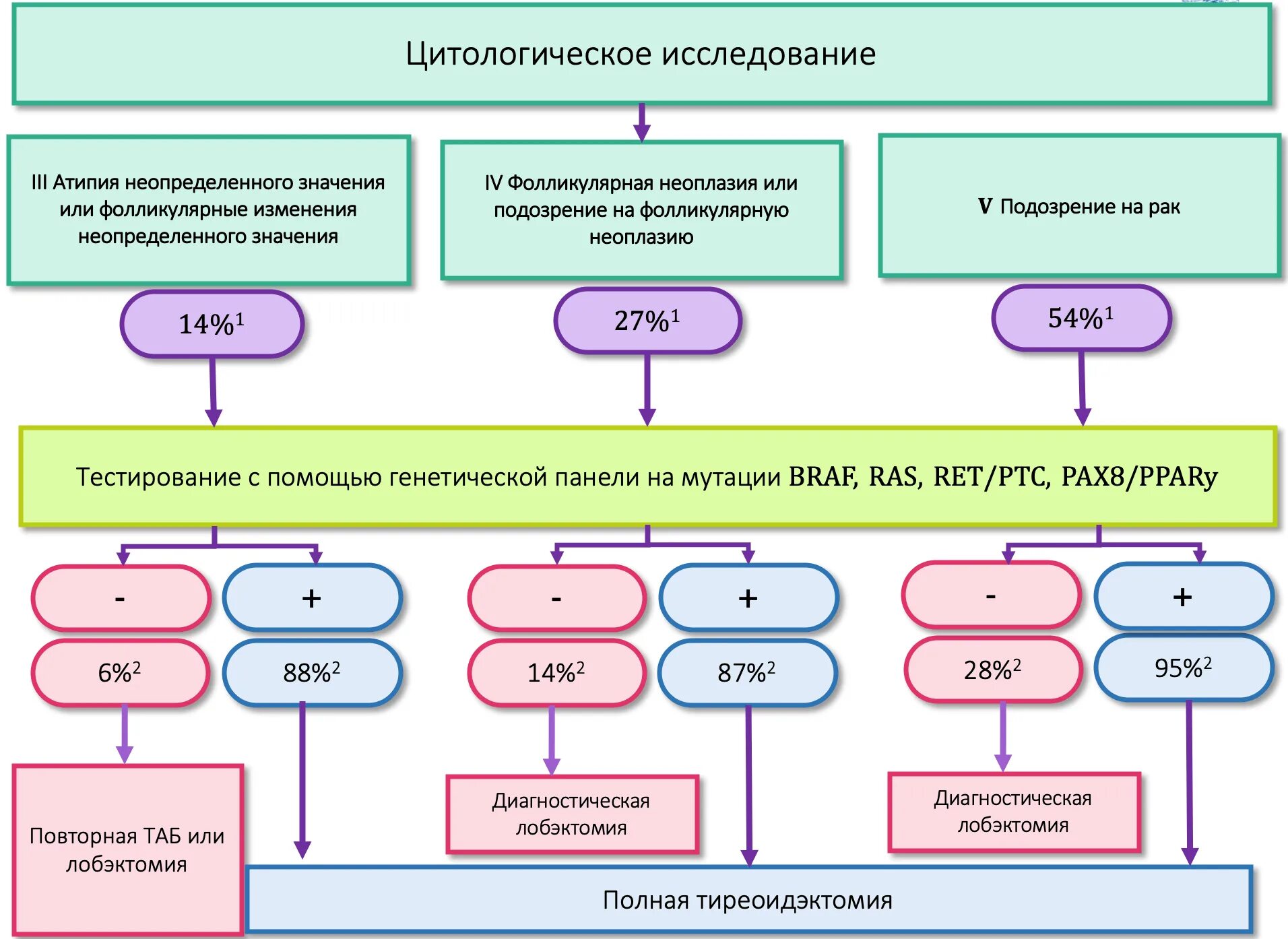 Щитовидная железа классификация