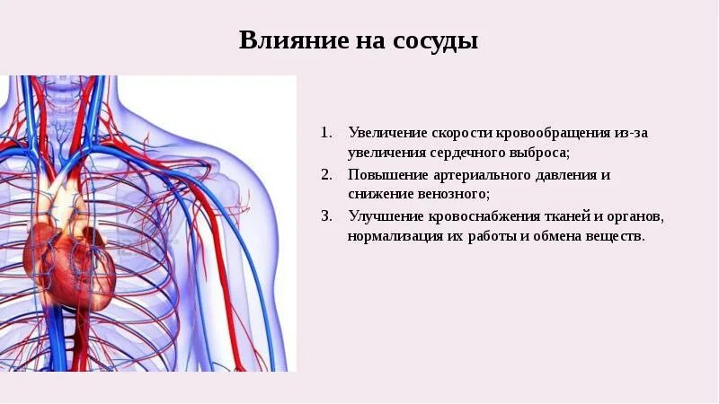 Регулируют кровообращение. Улучшение венозного кровообращения. Улучшающий кровообращение органов и тканей. Средства улучшающие кровоснабжение органов и тканей. Сосуды по увеличению двалению.