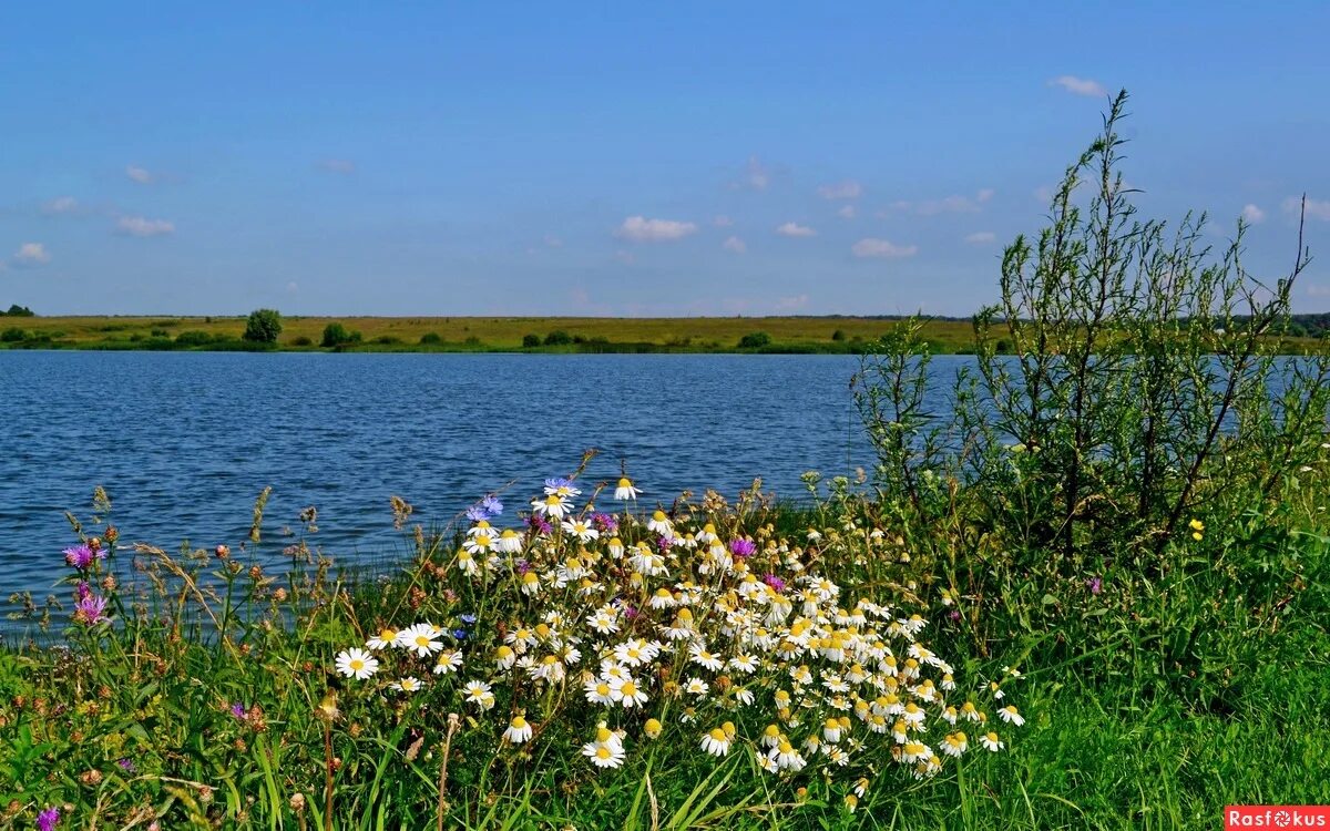 Середина лета. Июль середина лета. Июль картинки. Середина лета фото. Середина лета песня