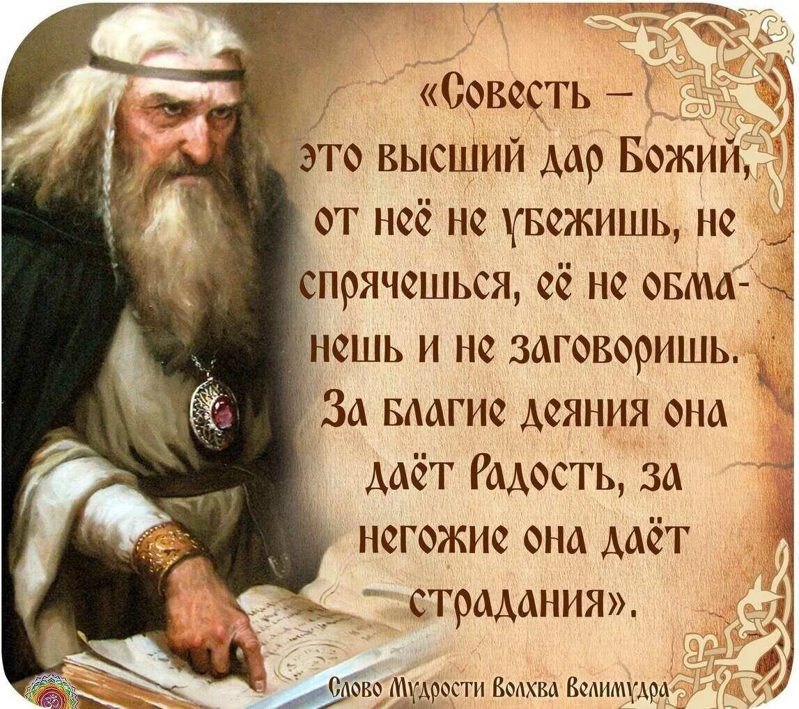 Высшее чего может достичь человек это мудрость. Славянские высказывания. древнеславянская мудрость. высказывания о славянах. слово мудрости волхва велимудра.