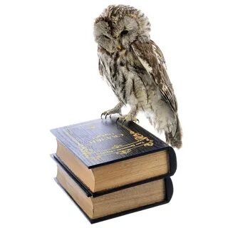 Книга филинов