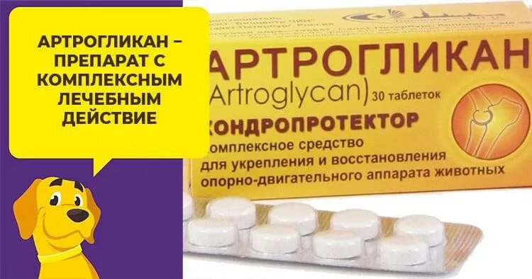 Артрогликан для собак инструкция по применению отзывы. Таблетки для собак артрогликан. артрогликан (хондропротектор) 30 таб.. артрогликан 30 таб 554544. артрогликан мазь.