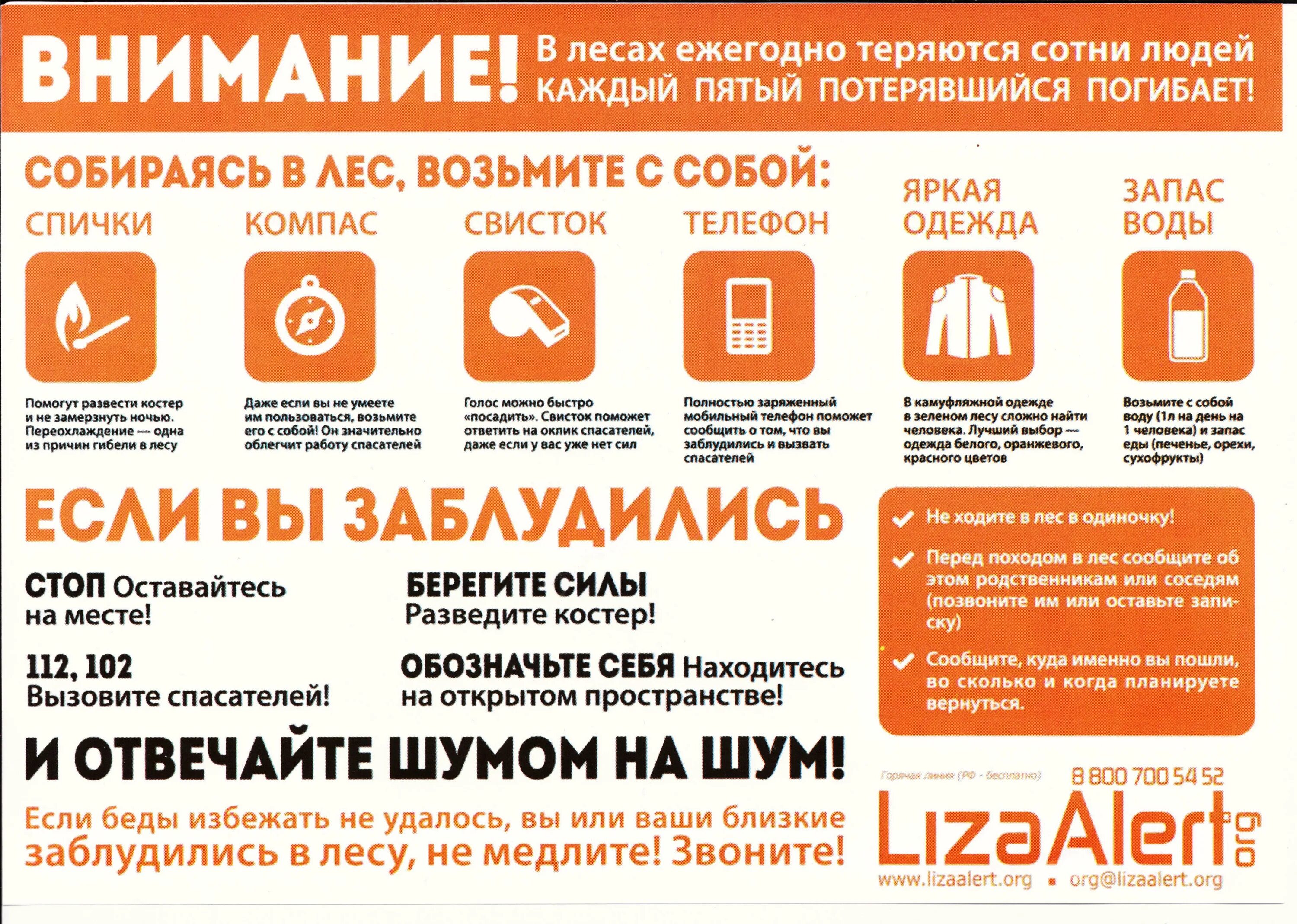 Куда именно. Лиза Алерт памятка лес. Лиза Алерт памятки безопасности. Памятка Лиза Алерт для грибников. Если ты заблудился в лесу памятка для детей Лиза Алерт.