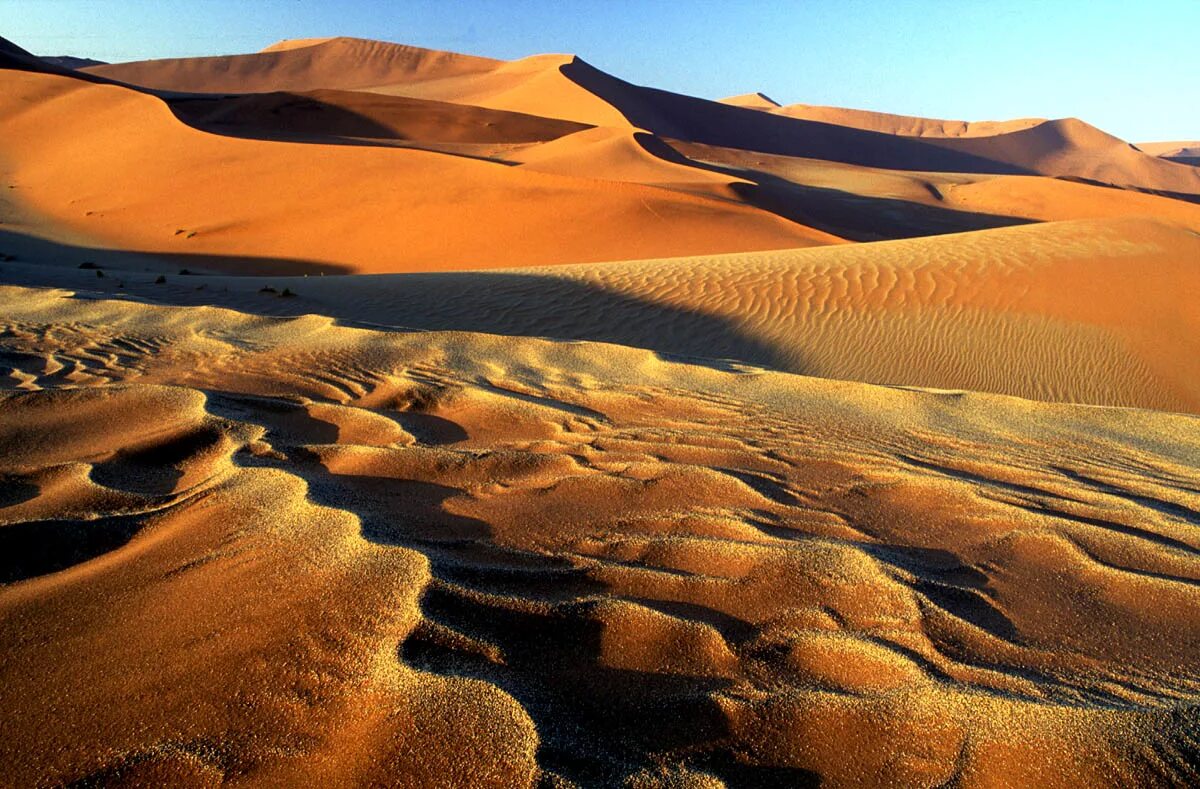 Намибия пустыня Калахари. Песчаные дюны Калахари. Намиб пустыни Африки. Калахари биом пустыни.