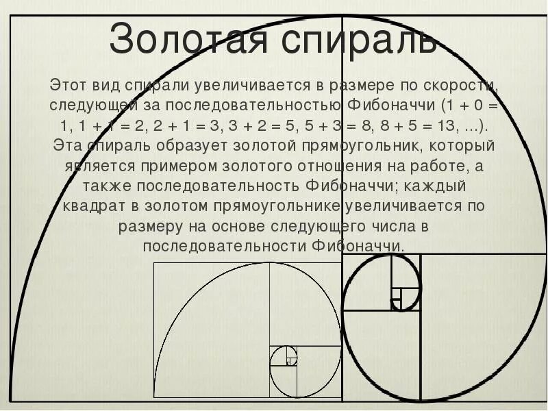 Загадка фибоначчи содержание чем закончится. Ряд фибоначчи спираль. золотая спираль фибоначчи. спираль фибоначчи золотое сечение. золотая спираль золотое сечение.