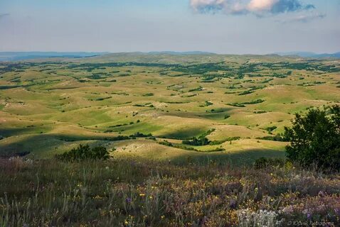 Караби